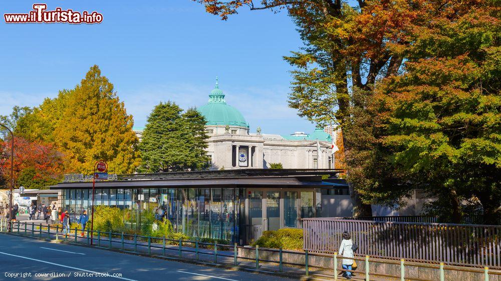 Immagine Il parco di Ueno e il complesso del Museo Nazionale di Tokyo, Giappone - © cowardlion / Shutterstock.com