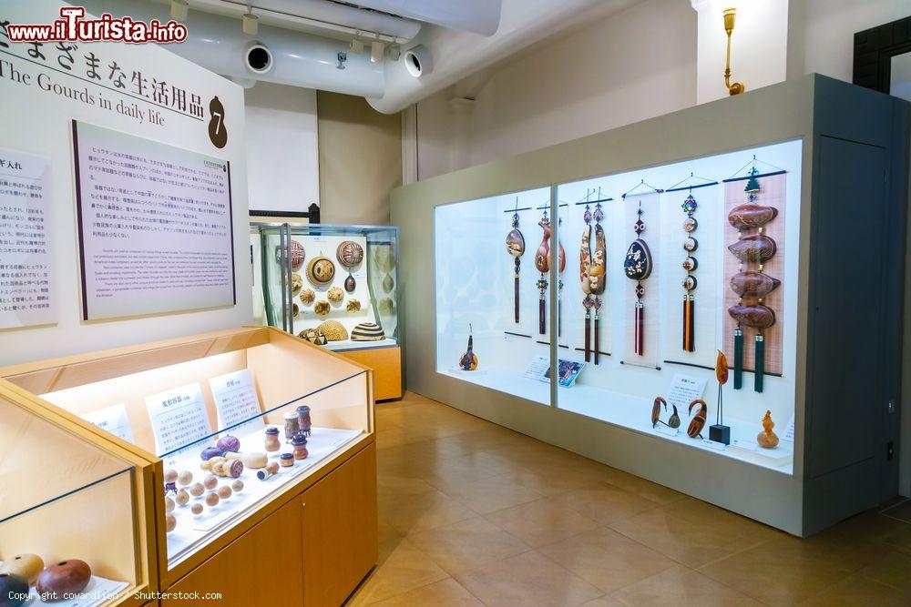 Immagine La vasta collezione antropologica esposta al museo Nazionale di Tokyo, la capitale del Giappone - © cowardlion / Shutterstock.com