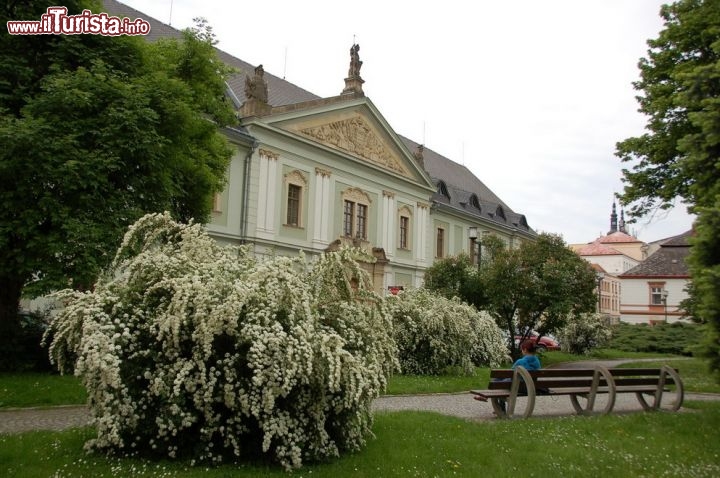 Piazza alberata a Olomouc