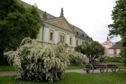 Piazza alberata a Olomouc