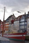Il Lightvessel Gedser Rev di Copenaghen, Danimarca. Questo interessante museo navale situato sul canale di Nyhavn risale al 1895 - © Eugenie Photography / Shutterstock.com