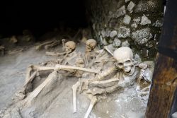 Scheletri trovati negli scavi di Ercolano. Sono le vittime dell'eruzione del Vesuvio del 79 dopo Cristo - © Cristian Puscasu / Shutterstock.com