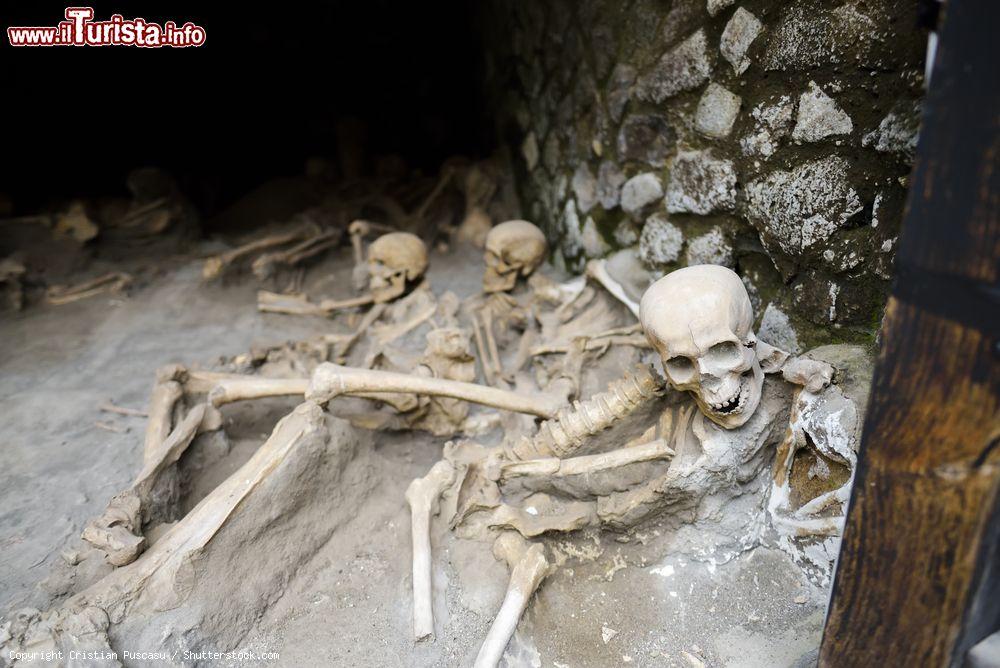 Immagine Scheletri trovati negli scavi di Ercolano. Sono le vittime dell'eruzione del Vesuvio del 79 dopo Cristo - © Cristian Puscasu / Shutterstock.com