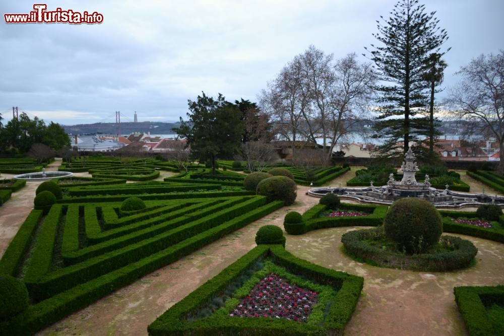 Immagine Il Jardim Botânico (Giardino Botanico) si trova a pochi passi dal Palácio Nacional da Ajuda, sulla collina che domina il quartiere di Belém (Lisbona).