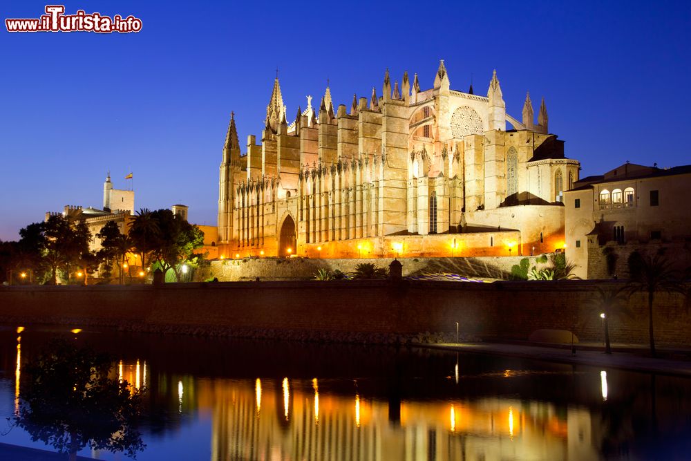 Immagine Vista notturna della Seu de Mallorca, la grande Cattedrale di Palma di Maiorca in Spagna