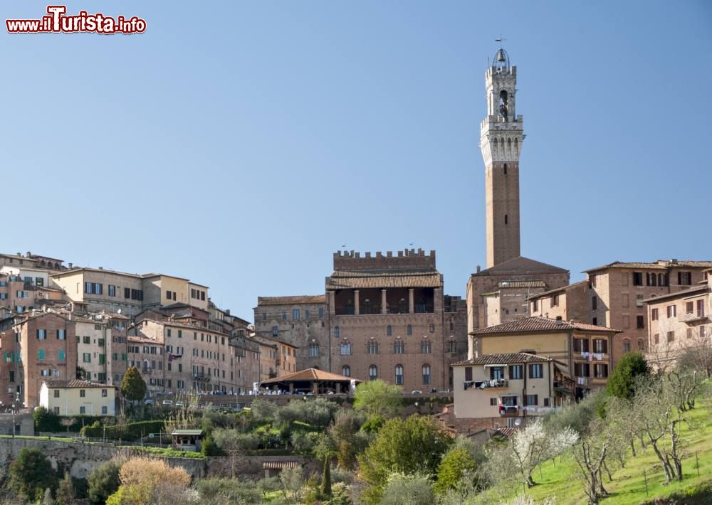 Immagine L'Orto dei Pecci, in primo piano, e La Piazza del Mercato nel centro di Siena