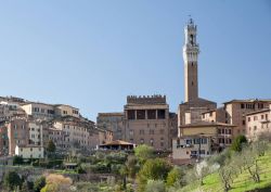 L'Orto dei Pecci, in primo piano, e La Piazza del Mercato nel centro di Siena