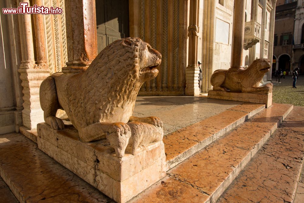 Immagine I Leoni del Portale Maggiore ingresso principale del Duomo di Modena