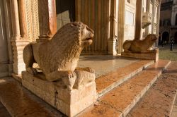 I Leoni del Portale Maggiore ingresso principale del Duomo di Modena