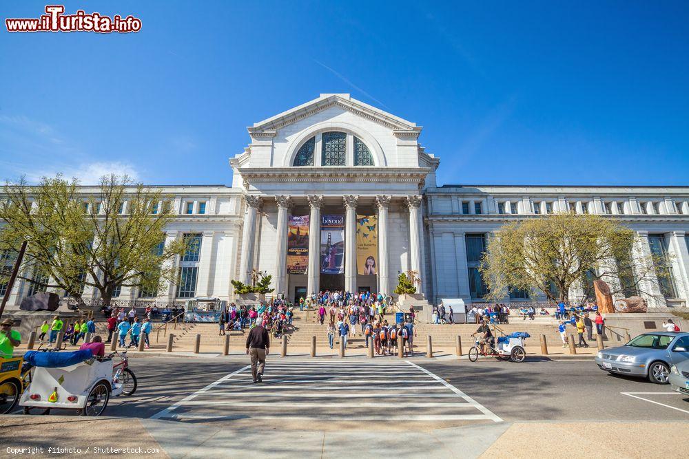 Immagine Ingresso del Museo Nazionale di Storia Naturale una delle perle assolute per i turisti in visita a Washington DC - © f11photo / Shutterstock.com