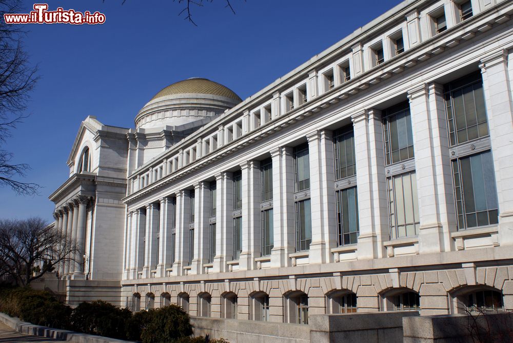 Immagine L'edificio che accoglie lo Smithsonian il Museo Nazionale di Storia Naturale a Washington