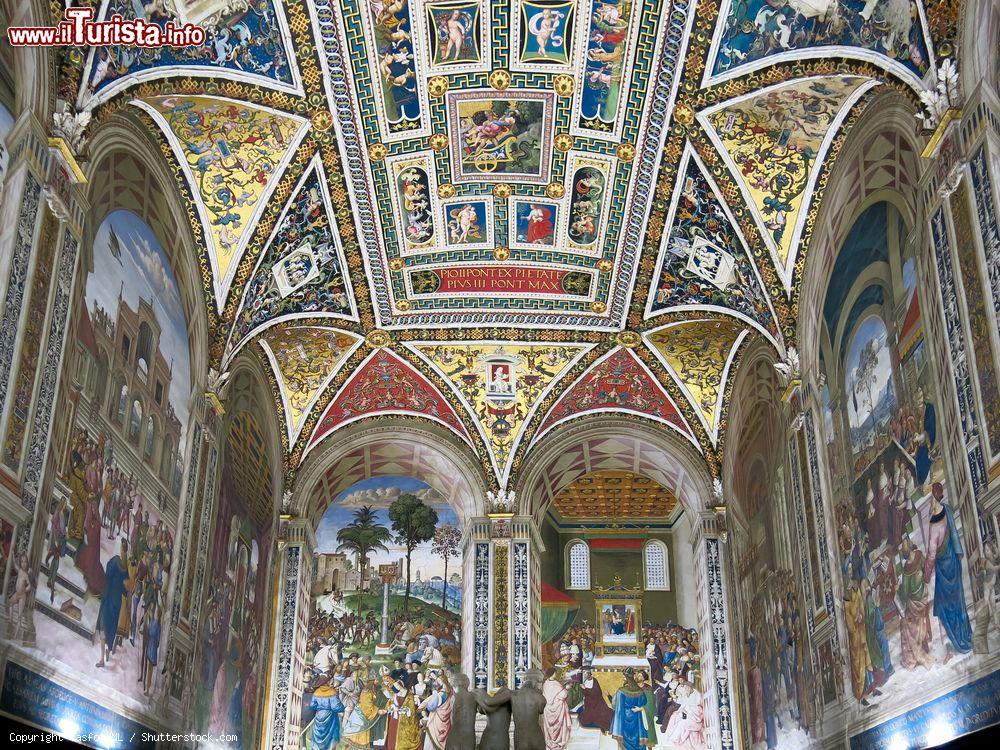 Immagine La biblioteca Piccolomini della Cattedrale di Siena con gli affreschi di Bernardino di Betto, detto il Pinturicchio - © TasfotoNL / Shutterstock.com