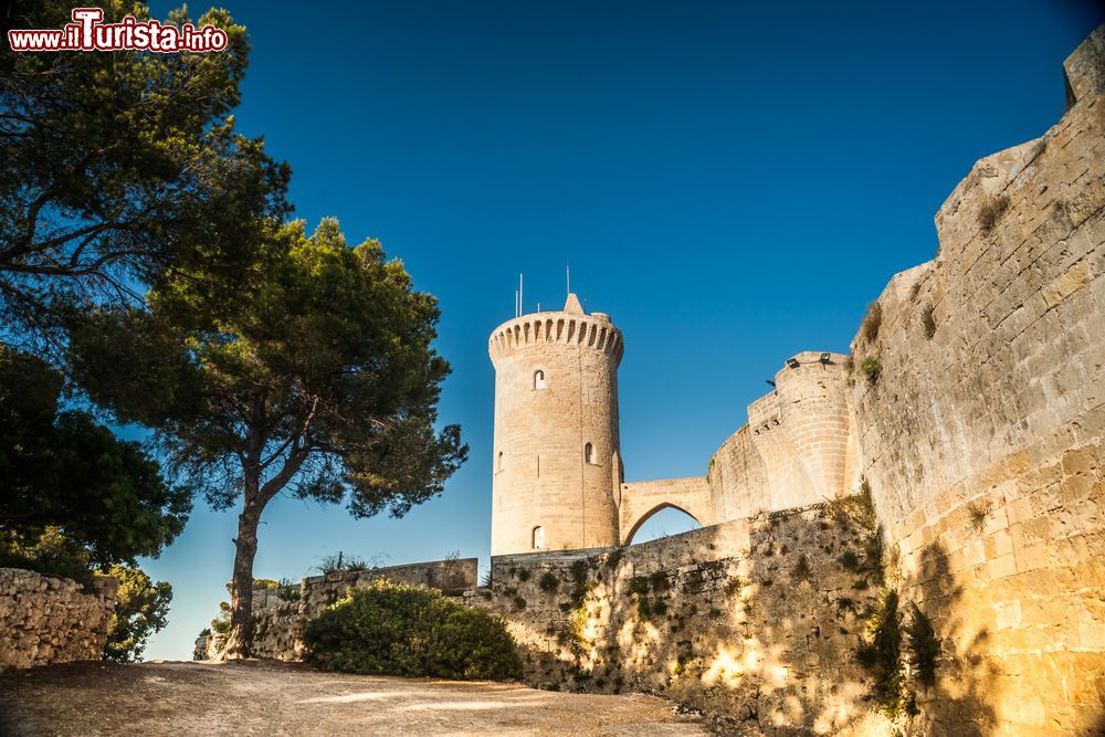 Immagine La grande torre del Castello di Bellver, isola di Maiorca