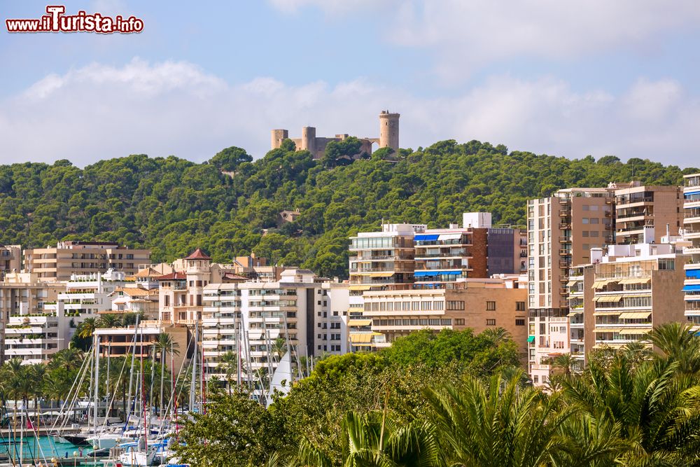 Immagine Palma di Maiorca e in alto il profilo del Castello di Bellver, Spagna