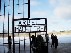 In italiano significa...il lavoro rende liberi ...