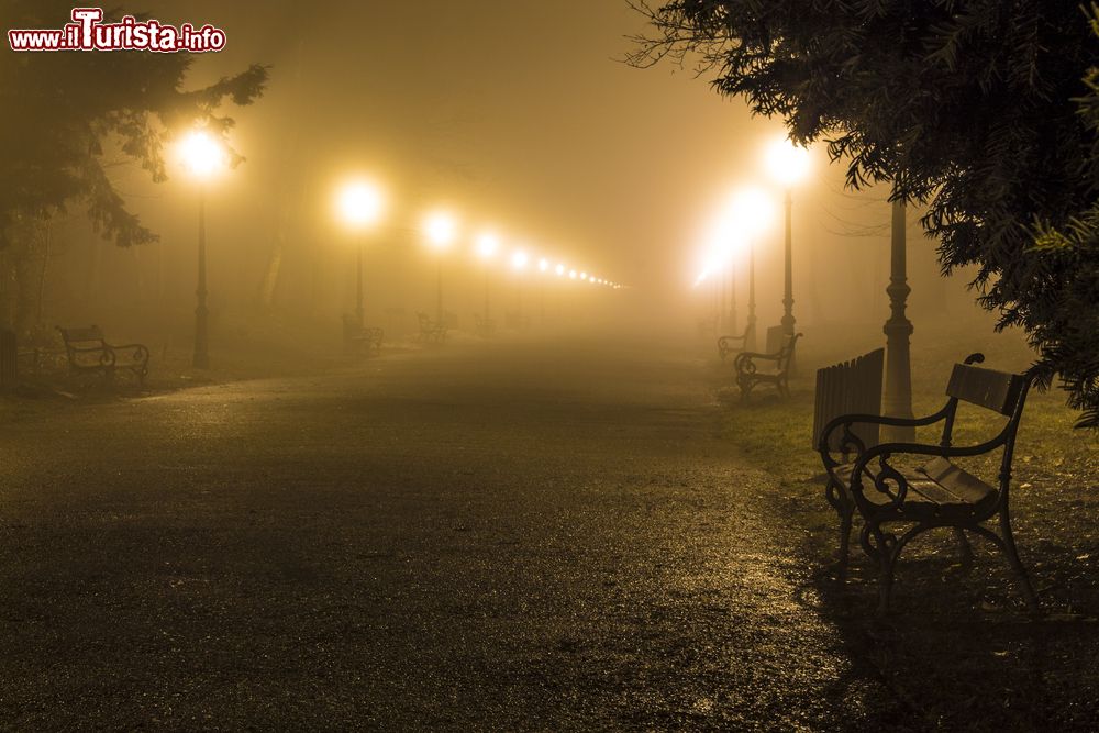 Immagine Nebbia serale nel Parco Maksimir di Zagabria. Il parco si estende per 18 ettari a est del centro.