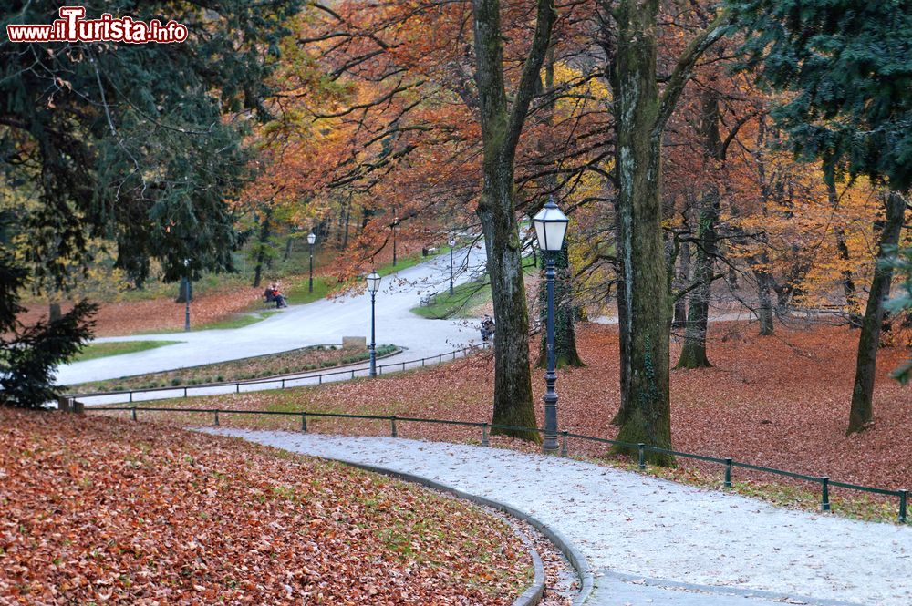 Immagine Paesaggio autunnale con le foglie gialle e rosse a terra nel Parco Maksimir, a est del centro di Zagabria.