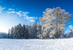 Una suggestiva fotografia invernale degli alberi innevati nel Parco Maksimir di Zagabria (Croazia).