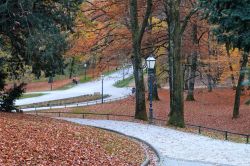 Paesaggio autunnale con le foglie gialle e rosse a terra nel Parco Maksimir, a est del centro di Zagabria.