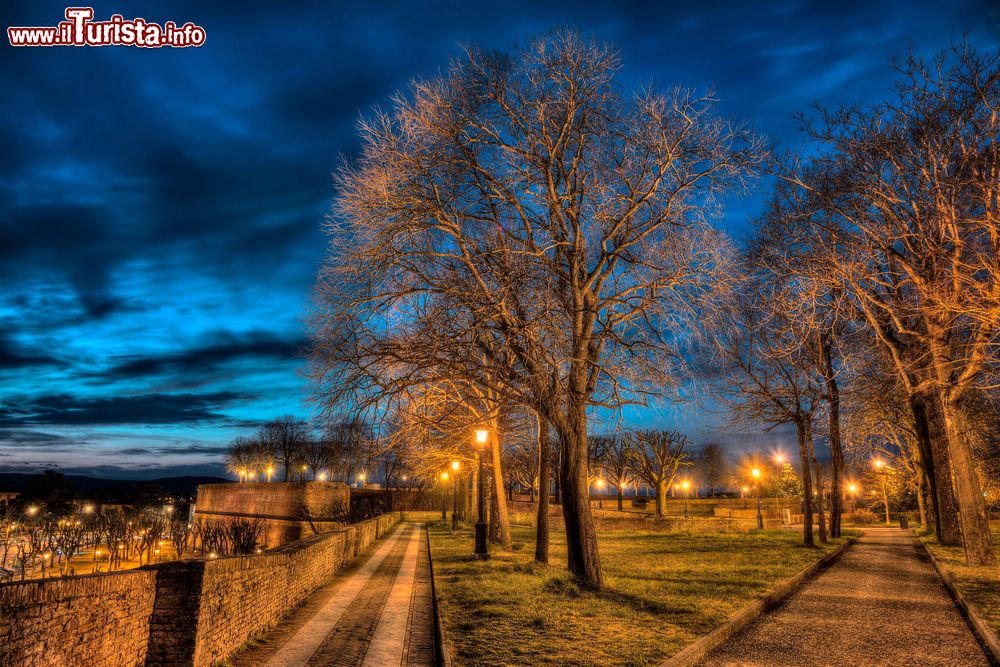 Immagine I giardini della Fortezza Medicea di Siena fotografati di notte
