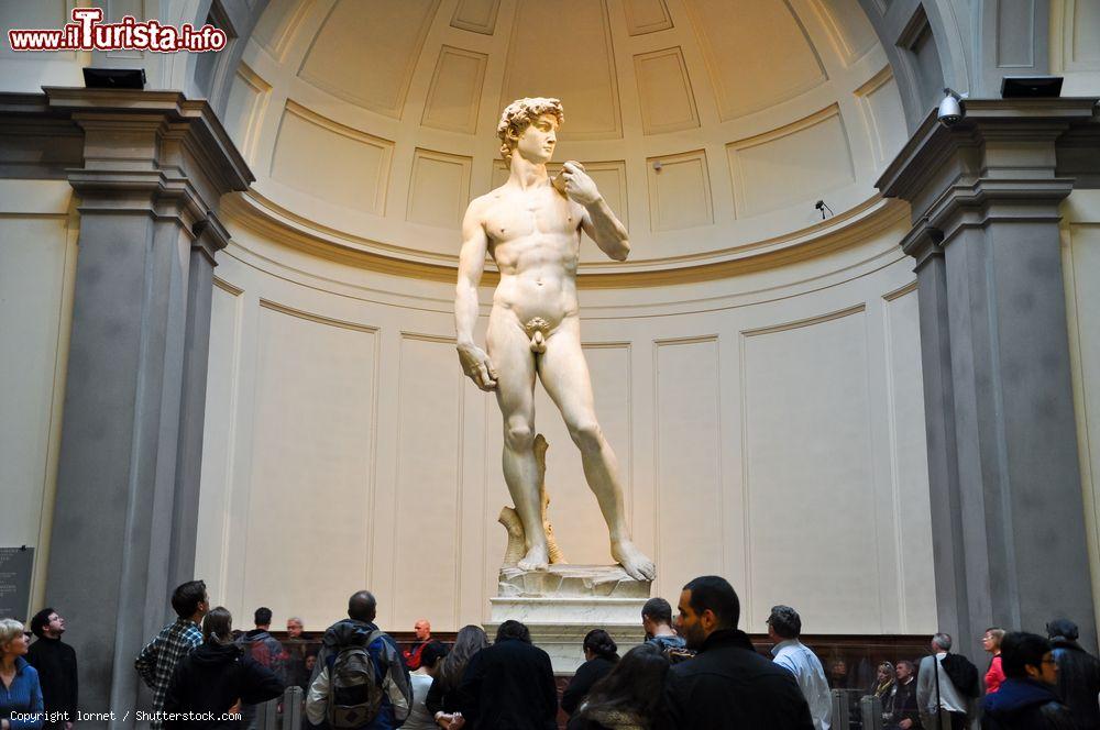 Immagine Il David di Michelangelo esposto nella Galleria dell'Accademia di FIrenze è il pezzo forte del museo toscano - © lornet / Shutterstock.com