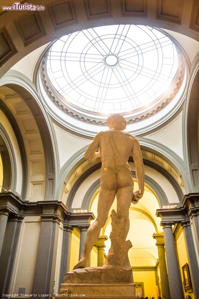 Immagine Il lato B del David di Michelangelo troneggia nel cuore della Galleria dell'Accademia di Firenze. - © Giancarlo Liguori / Shutterstock.com