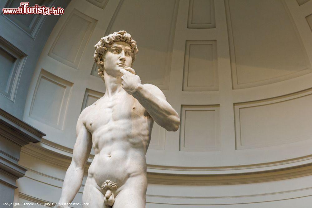 Immagine Un particolare del David di Michelangelo, la statua più famosa esposta alla Galleria dell'Accademia di Firenze. - © Giancarlo Liguori / Shutterstock.com