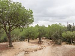 Il polmone verde di Madrid: parque Casa de Campo ...