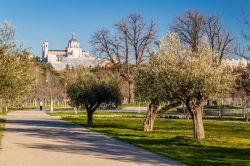 La Skyline di Madrid: la Cattedrale Almudenae il Palazzo Reale visti da Casa de Campo, l'area verde del centro