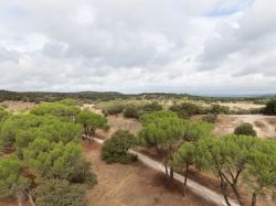 Il vasto paesaggio del parco Casa de Campo a Madrid