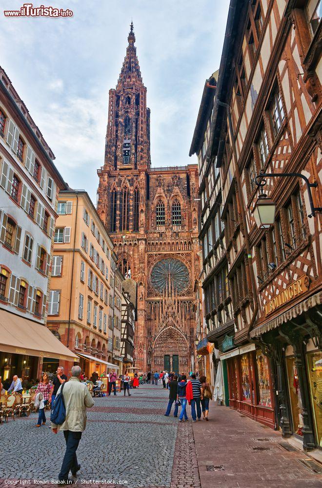 Immagine Rue Merciere nella città vecchia di Strasburgo e la cattedrale sullo sfondo - © Roman Babakin / Shutterstock.com