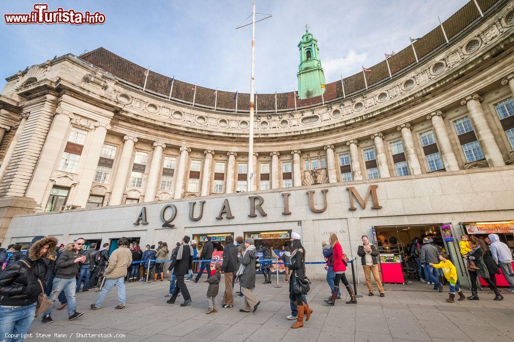 Immagine L'Acquario Sea Life  di Londra, dentro alla vecchia  County Hall : siamo nel southbank del fiume Tamigi  - © Steve Mann / Shutterstock.com