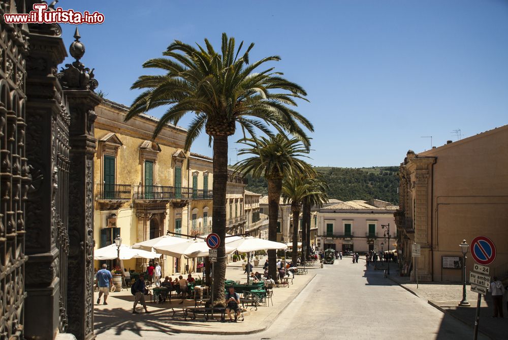 Immagine Le altissime palme in Piazza Pola (l'antica Piazza Maggiore), nel quartiere di Ragusa Ilba.