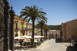 Le altissime palme in Piazza Pola (l'antica Piazza Maggiore), nel quartiere di Ragusa Ilba.