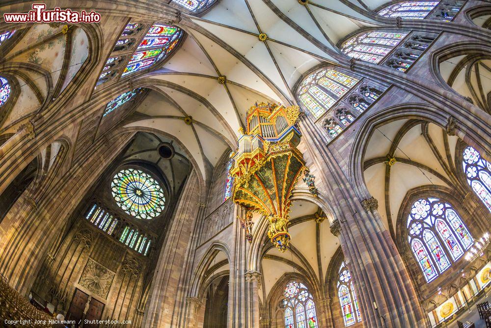 Immagine Le altissime volte del soffitto della cattedrale di Strasburgo (Francia), costruita tra l'XI e il XV secolo - © Jorg Hackemann / Shutterstock.com