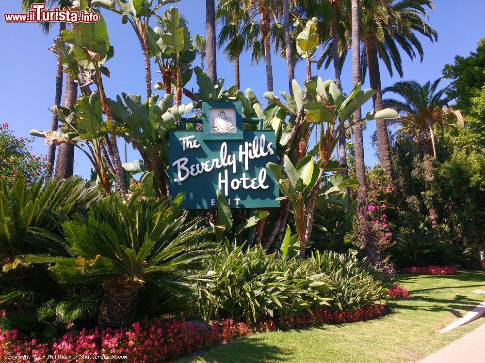 Immagine L'insegna del Beverly Hills Hotel su Sunset Boulevard a Los Angeles. Fin dalla sua apertura nel 1912, l'hotel ha ospitato le più grandi star del cinema - © Alex Millauer / Shutterstock.com