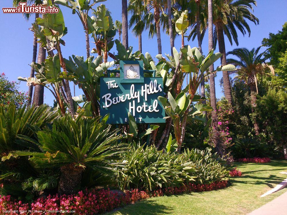 Immagine L'insegna del Beverly Hills Hotel su Sunset Boulevard a Los Angeles. Fin dalla sua apertura nel 1912, l'hotel ha ospitato le più grandi star del cinema - © Alex Millauer / Shutterstock.com