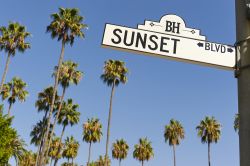 L'iconico segnale stradale del Sunset Boulevard con le palme di Los Angeles sullo sfondo.
