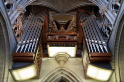 Il grande organo della Cattedrale di Notre-Dame a Losanna, ospitato nella chiesa dal 2003. L'organista titolare è il maestro Jean-Christophe Geiser.