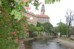 Il fiume Moldava e il Castello di Cesky Krumlov ...