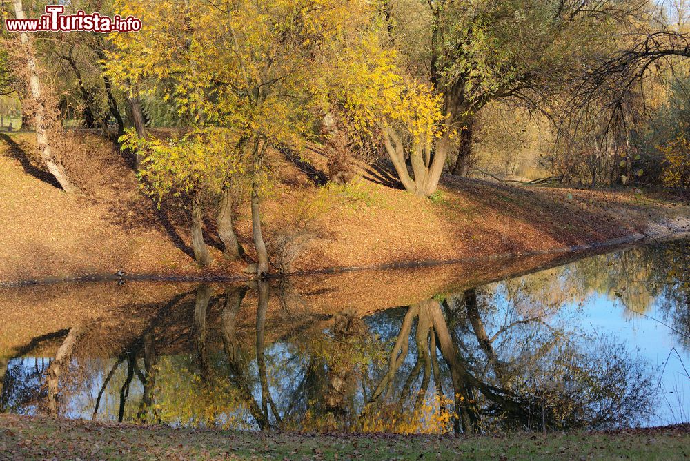 Immagine I colori dell'autunno nel parco Bundek di Zagabria. Lo spazio verde fue ralizzato nell’ambito del piano regolatore del 1865.