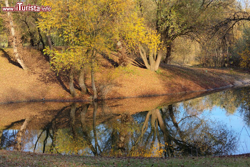 Immagine I colori dell'autunno nel parco Bundek di Zagabria. Lo spazio verde fue ralizzato nell’ambito del piano regolatore del 1865.