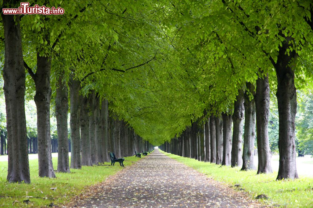 Immagine Paesaggio primaverile al giardino di Herrenhausen, Hannover, Germania. Anche in questa stagione è una fra le mete preferite dagli abitanti di Hannover e dai turisti.