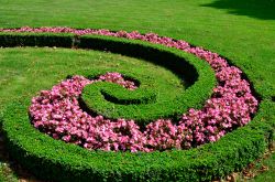 Un particolare del giardino di Herrenhausen a Hannover, Germania. A decorare questo parco barocco vi sono decorazioni floreali dalle mille sfumature.
