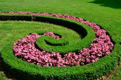 Un particolare del giardino di Herrenhausen a Hannover, Germania. A decorare questo parco barocco vi sono decorazioni floreali dalle mille sfumature.
