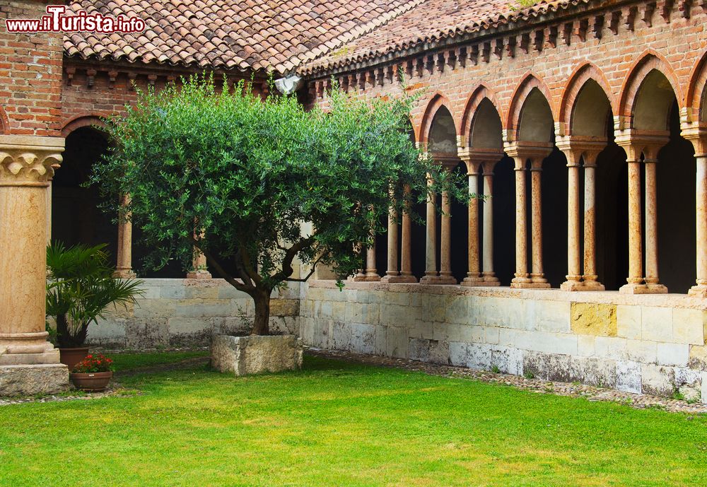 Immagine La visita al chiostro di San Zeno a Verona
