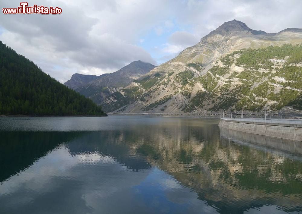 Diga del Gallo a Livigno, Lombardia - Attiva dal 1969, quella del Gallo è una diga ad arco doppio simmetrico che alimenta una centrale idroelettrica svizzera. Si trova in una valle a poca distanza da Livigno, all’uscita del tunnel Munt la Schera, esattamente sul confine tra Italia e Svizzera.
La diga misura 130 metri in altezza e ha una capacità d’invaso di 165 milioni di metri cubi. Da Livigno si può raggiungere percorrendo la Via della Val che costeggia il lago e arriva al coronamento della diga. Per chi proviene invece da Zernez, sul versante svizzero, basta seguire le indicazioni per Livigno fino al tunnel Munt la Schera; uscendo dal tunnel ci si trova sulla diga - ©  Zairon - CC-BY-SA 4.0, Wikipedia