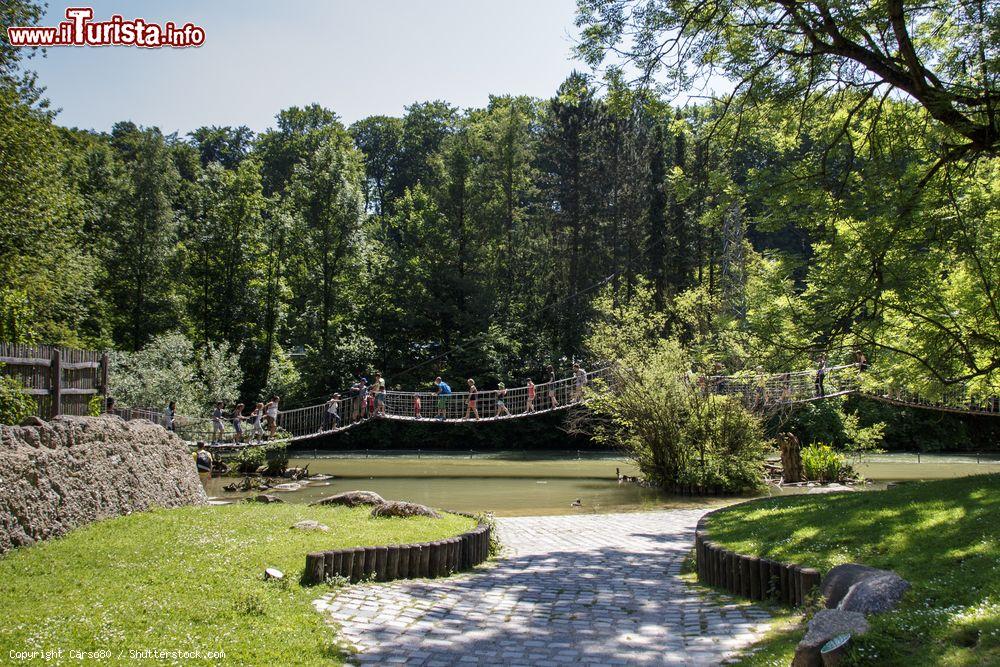 Immagine Turisti su un ponte tibetano nel Tierpark Hellabrunn, lo zoo di Monaco (Germania) - foto © Carso80 / Shutterstock.com