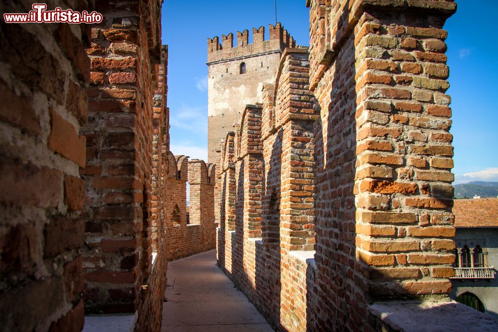 Immagine I merli di Castelvecchio a Verona. Originariamente il castello era noto con il nome di San Martino in Aquaro.