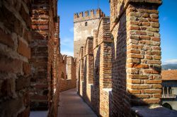 I merli di Castelvecchio a Verona. Originariamente ...